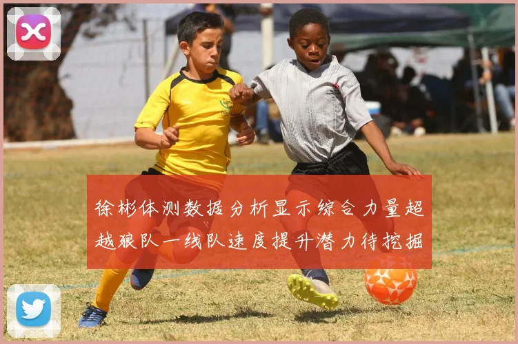 徐彬体测数据分析显示综合力量超越狼队一线队速度提升潜力待挖掘