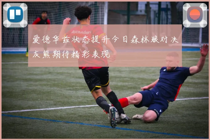 爱德华兹状态提升今日森林狼对决灰熊期待精彩表现
