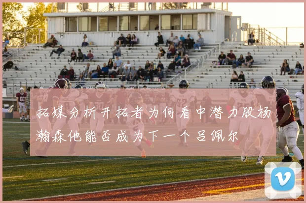 拓媒分析开拓者为何看中潜力股杨瀚森他能否成为下一个吕佩尔